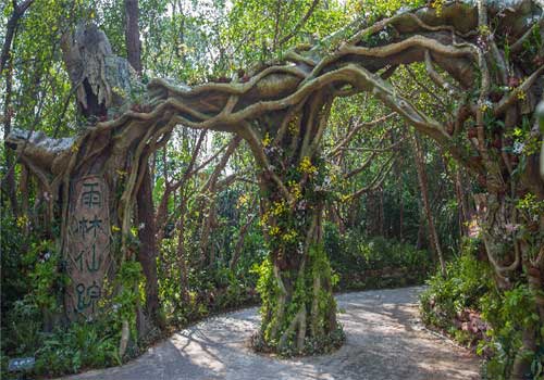 长隆野生动物世界雨林仙踪