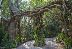 长隆野生动物世界雨林仙踪有什么好看的