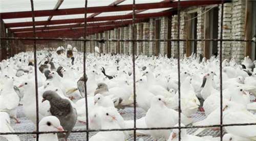 南山文化旅游区11634