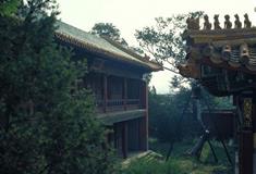 故宫博物院慈荫楼有什么好看的