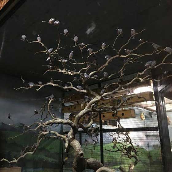 北京动物园11343