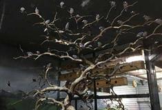 北京动物园鸟苑有什么好看的