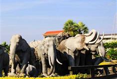 南山文化旅游区群象雕塑有什么好看的