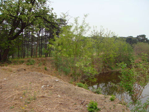 圆明园澹泊宁静 圆明园澹泊宁静