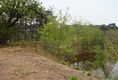 圆明园澹泊宁静有什么好看的