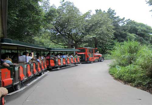 长隆野生动物世界乘车游览区