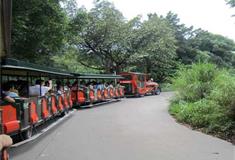 长隆野生动物世界乘车游览区有什么好看的