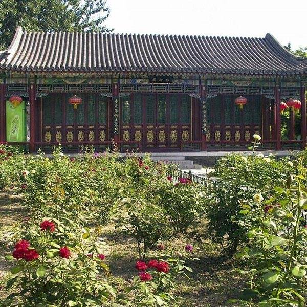 北京大观园10755