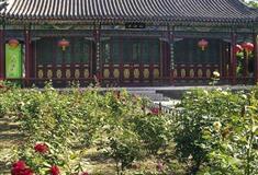 北京大观园红香圃有什么好看的