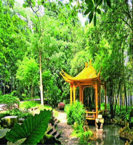 湛江湖光岩风景区11713