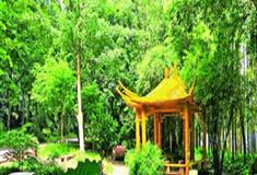 湛江湖光岩氧吧亭有什么好看的