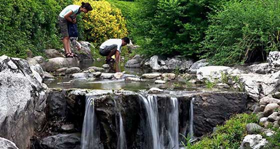上海世纪公园12028