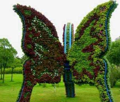 梦幻百花洲12347