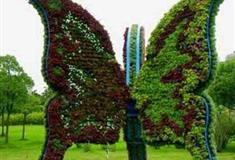 梦幻百花洲立体花卉展区有什么好看的
