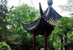 上海古猗园白鹤亭有什么好看的