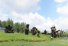 上海世纪公园蒙特利尔园有什么好看的