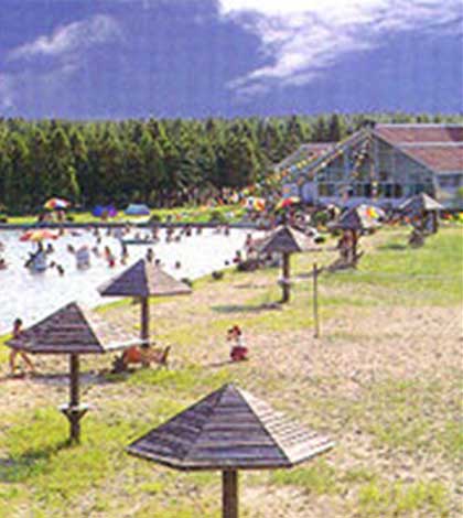 东平国家森林公园12298