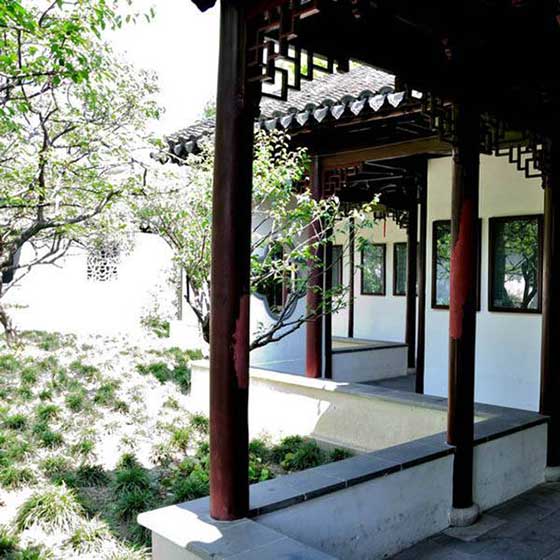 上海古猗园11902