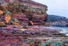 金石滩景区南秀园景群