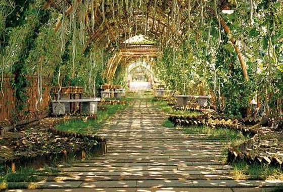 深圳海上田园12538