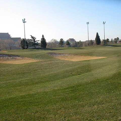 上海世纪公园12021