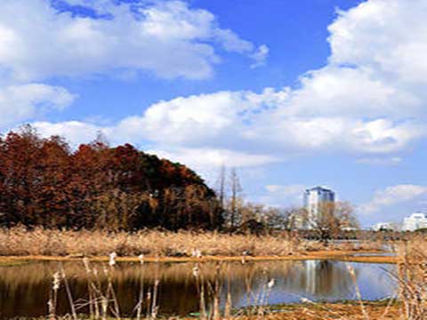 上海世纪公园12018