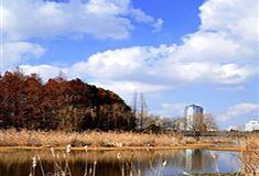 上海世纪公园冬园有什么好看的