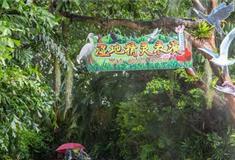 长隆飞鸟乐园湿地精灵表演有什么好看的