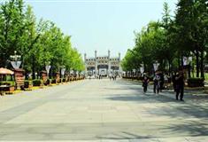 灵山大佛菩提大道有什么好看的