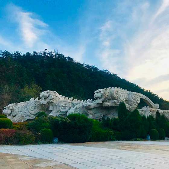 大连老虎滩海洋公园12306