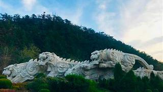 老虎滩海洋公园虎雕广场有什么好看的