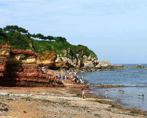 金石滩国家旅游度假区12694