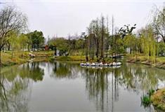 瘦西湖疏林观风有什么好看的