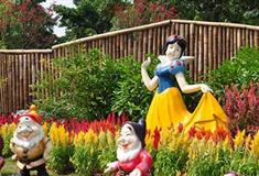 梦幻百花洲罗曼花园有什么好看的