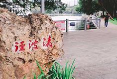 流花湖公园凌波径有什么好看的