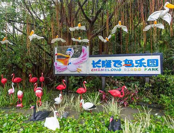 长隆飞鸟乐园12385