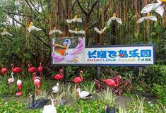 广州长隆飞鸟乐园有什么好玩的