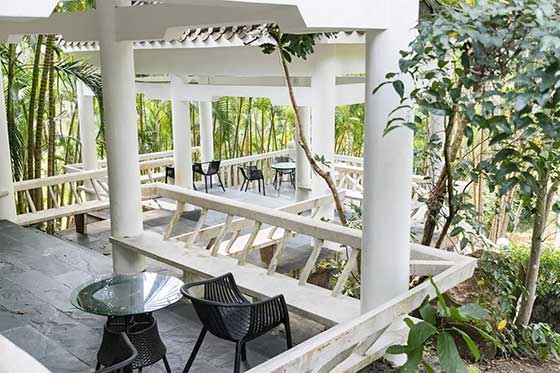 深圳笔架山公园12359