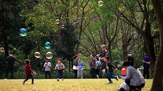 深圳笔架山公园儿童乐园有什么好玩的 深圳笔架山公园儿童乐园有什么好玩的