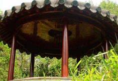 拙政园笠亭有什么好看的