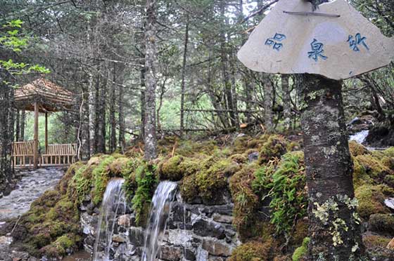 扬州瘦西湖12176