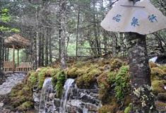 瘦西湖品泉轩有什么好看的