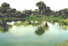 深圳海上田园基塘田园景区