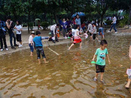深圳海上田园泥鳅河 深圳海上田园泥鳅河