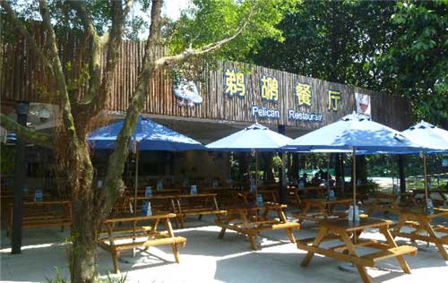 长隆飞鸟乐园12391