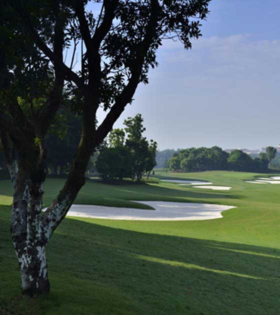 上海世纪公园12022