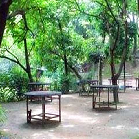 福州国家森林公园11883