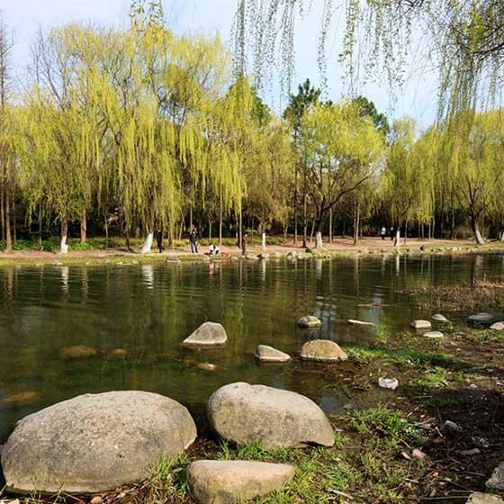 上海世纪公园卵石沙滩