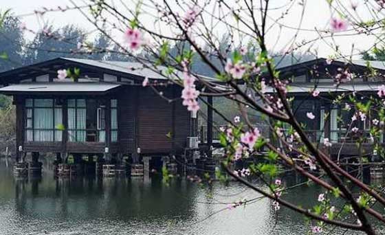 深圳海上田园12537