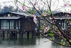 深圳海上田园桃林苑